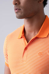 Regular Fit Yarn Dye Polo Shirt