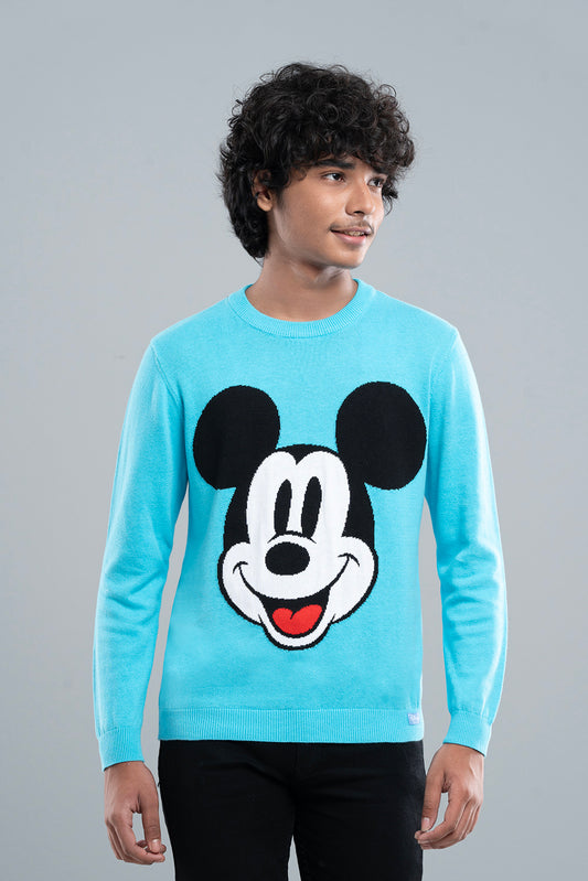 Junior Boys Sweater (10-14 Years) - Disney