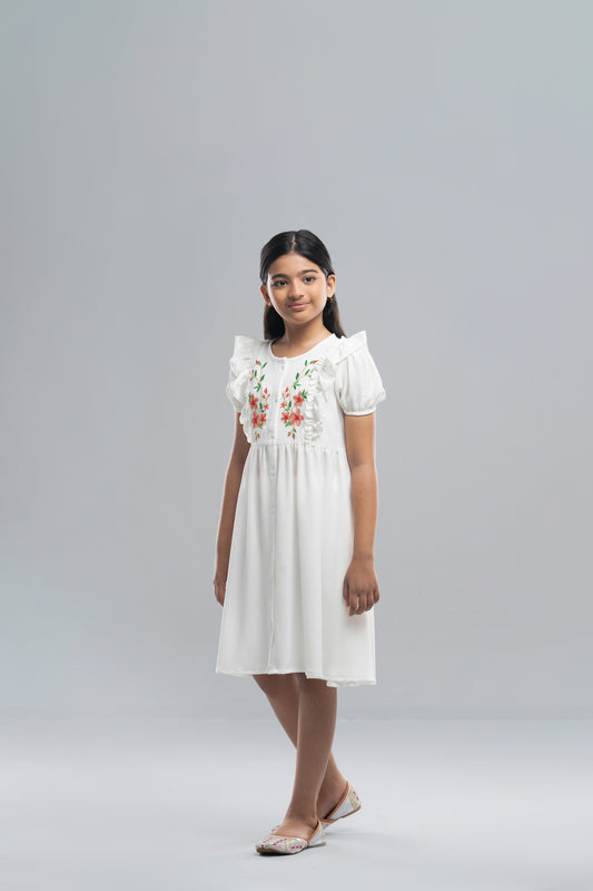 Girls Dress (2-4 Years)