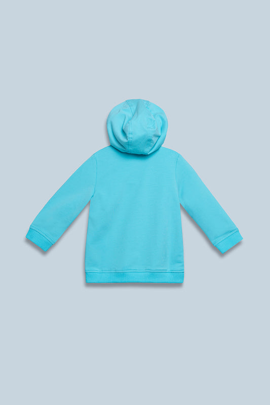 New Born Boys Sweatshirt (6-18 Months)