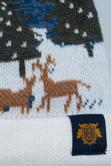 Boys Knit Cap
