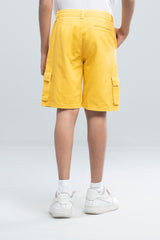 Boys Short Pant (2-4 Years)