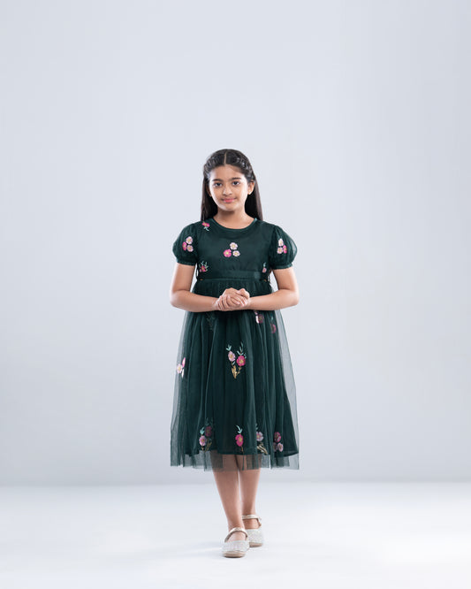 Princess Dress (2-4 Years)