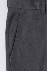 Regular Fit Formal Pants
