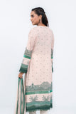 Women's Lawn