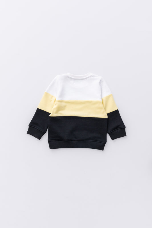 Newborn Boys' Sweatshirt (6-18 Months)