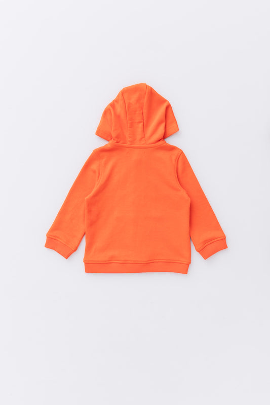 Newborn Boys' Hoody (0-6 Months)