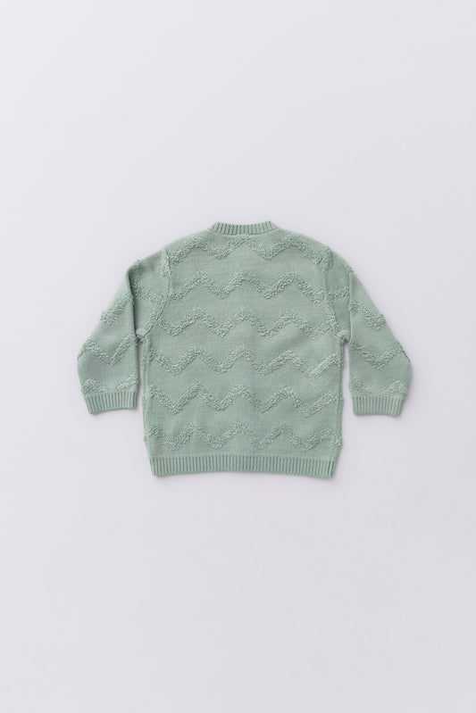 Newborn Boys' Sweater (0-6 Months)
