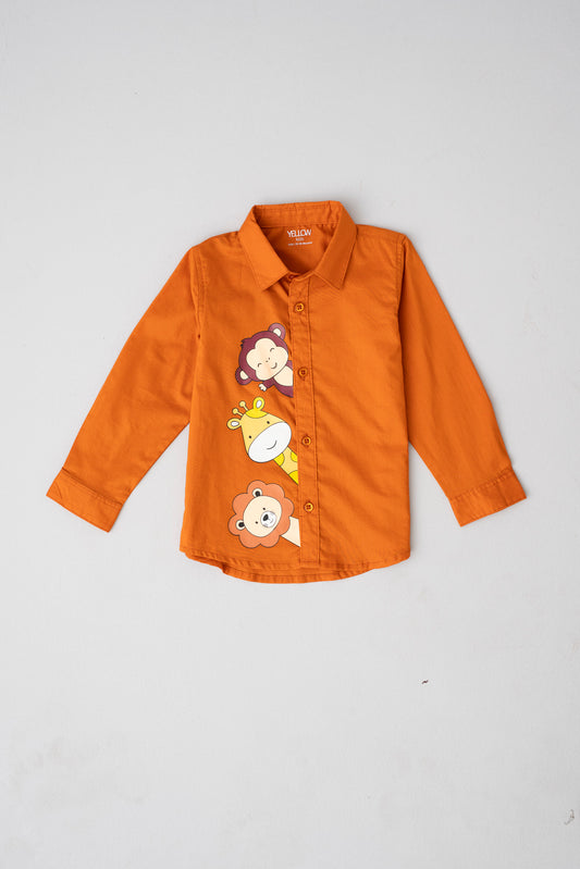New Born Boys Shirt (0-6 Months)