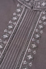 Regular Fit Embroidered Blended Fabric Formal Panjabi