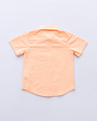 Newborn Boys' Shirt (6-18 Months)