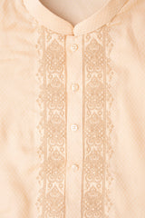 Regular Fit Embroidered Semi-Formal Panjabi