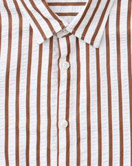 Regular Fit Striped Casual Shirt