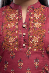 Girls Ethnic Top (2-4 Years)