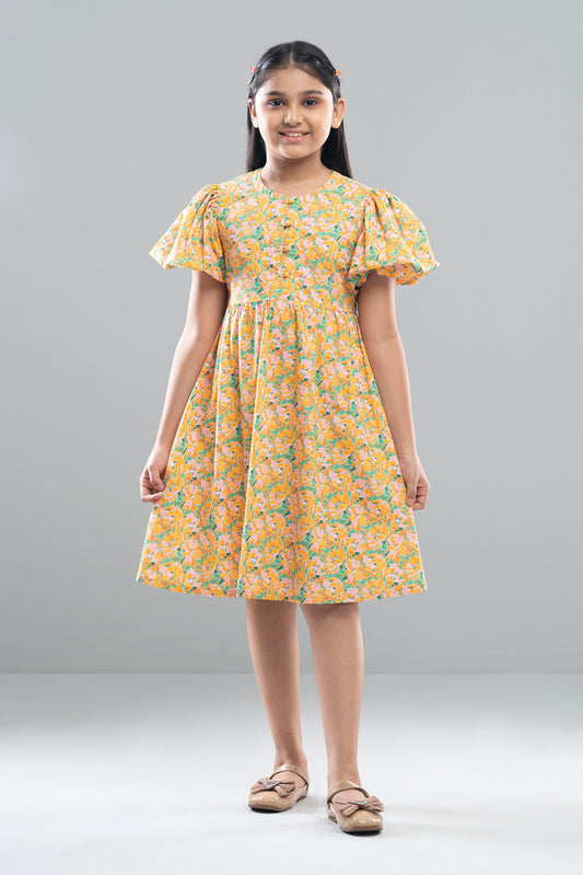Girls Dress (2-4 Years)