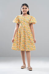Girls Dress (2-4 Years)