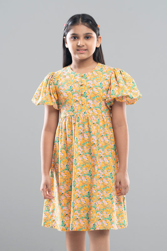 Girls Dress (2-4 Years)