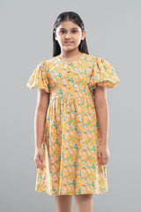 Girls Dress (2-4 Years)