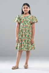 Girls Dress (2-4 Years)