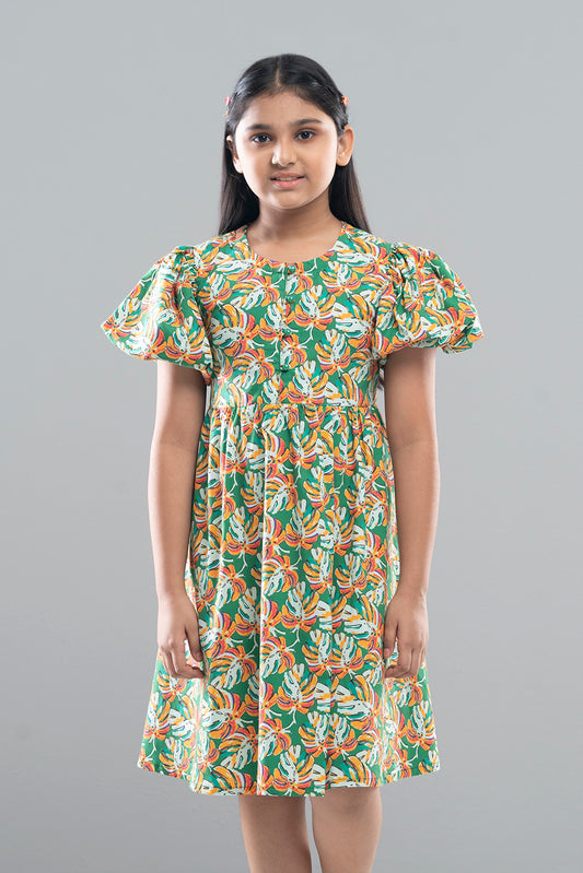 Girls Dress (2-4 Years)