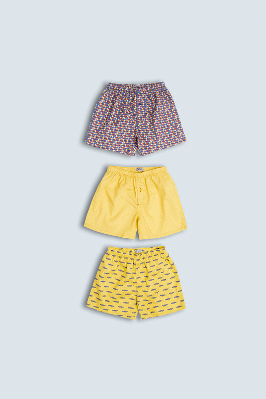 Boys Boxer (2-5 Years)