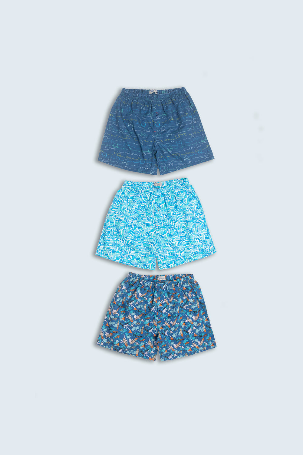 Boys Boxer (2-5 Years)