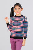 Girls Sweater (2-4 Years)