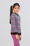 Girls Sweater (2-4 Years)