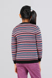 Girls Sweater (2-4 Years)